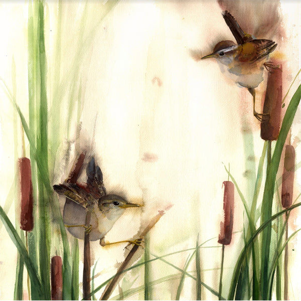 Marsh Wrens in the Marsh ~ Original  watercolor