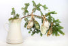 Oyster Ornament