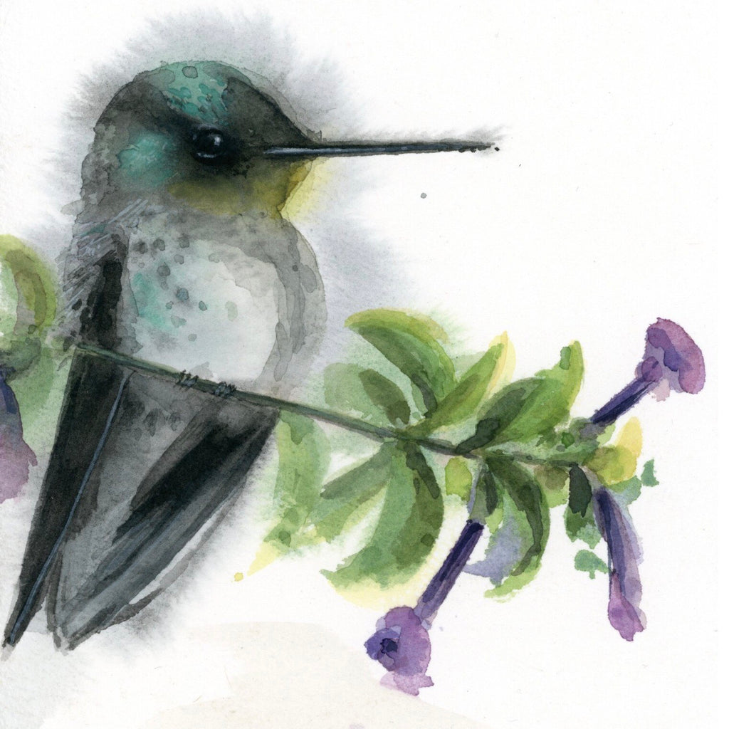 Juan Ferndes Firecrown #20064