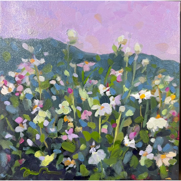 Field of Daisies