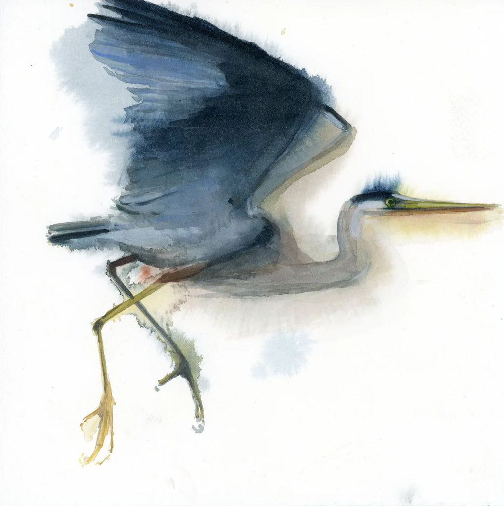Great Blue Heron  #19074