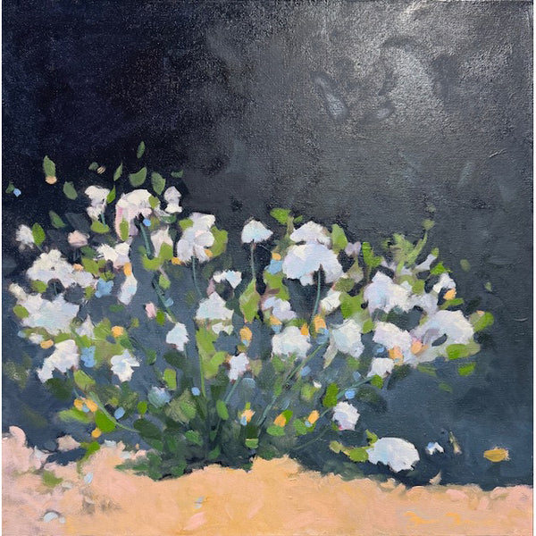 Moonlight on the Dune