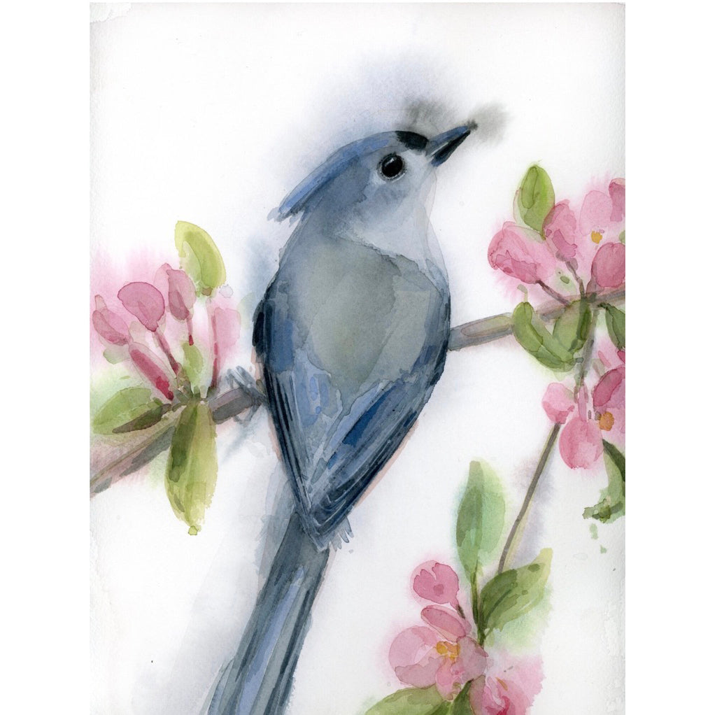 Tufted Titmouse In Pink #20029
