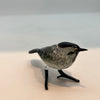 Wagtail