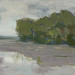 Across The Marsh