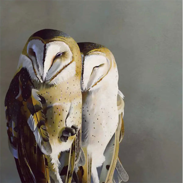 Barn Owl Pair 10x10 Panel