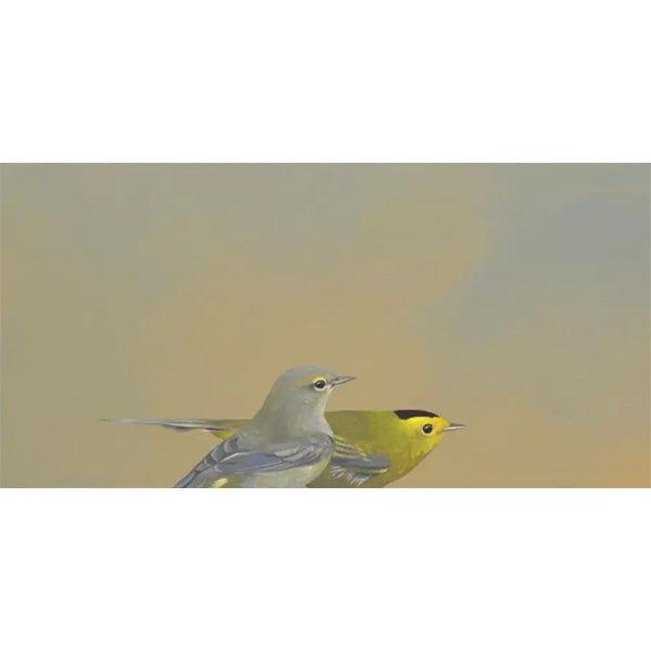 Wilson's Warblers 6x12 Panel
