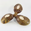 Abalone & Tortoise Condiment Dish