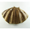 Abalone & Tortoise Medium Clam Bowl