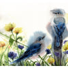 Eastern Bluebirds # 21004