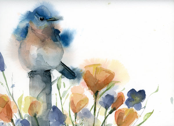 Eastern Bluebird in Wildflowers #21019