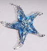 Glass Starfish