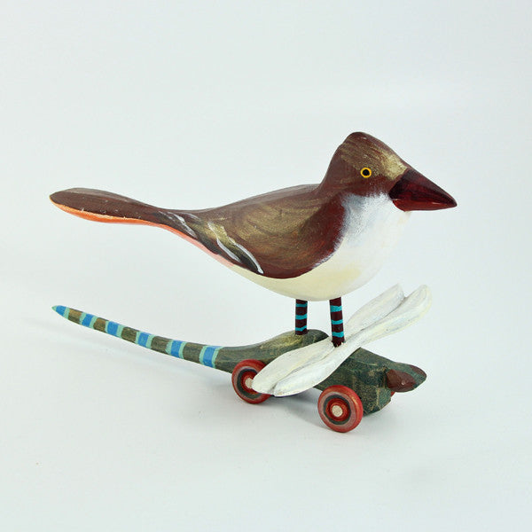 Flycatcher