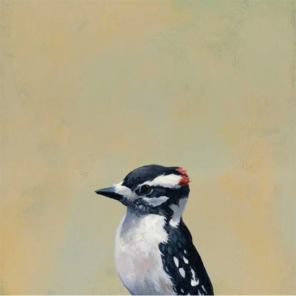 Downy Woodpecker 8 x 8 Panel