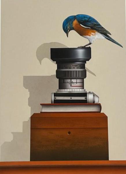 Bird's Eye View  - giclee print