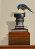 Bird's Eye View  - giclee print
