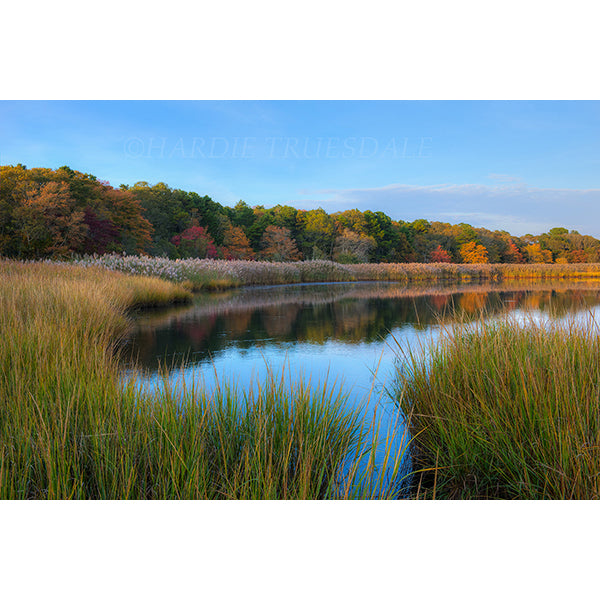 Bells Neck Fall