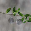 Squiggle Disc Earrings