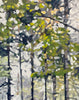 Early Fall