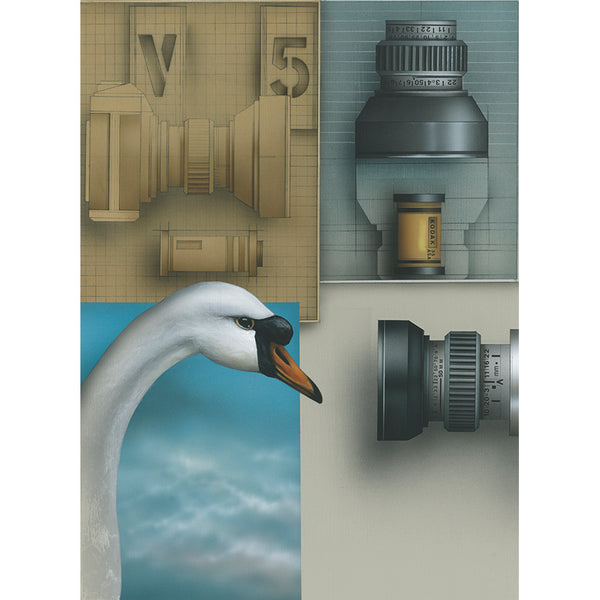 Face to Face III  Swan- giclee print