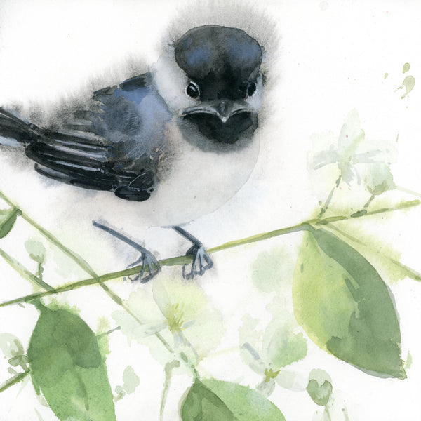Fledgling Black-Capped Chickadee ~ Original  watercolor