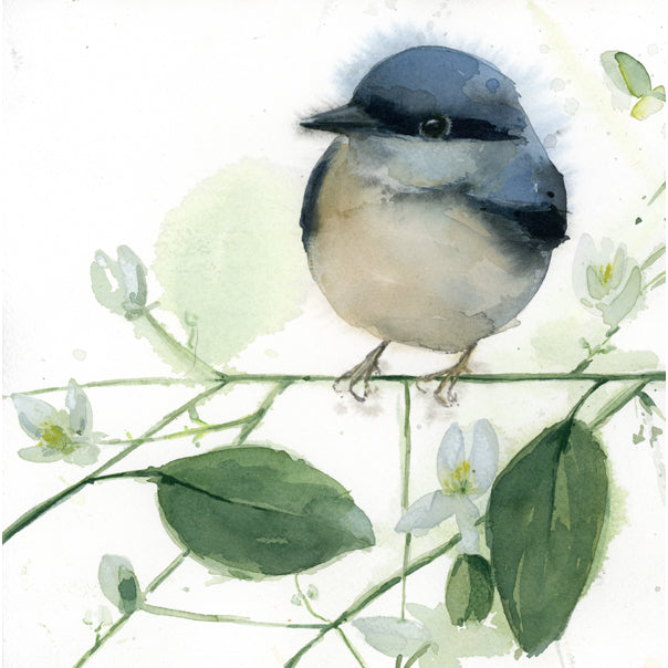 Fledgling Nuthatch ~ Original  watercolor