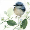 Fledgling Nuthatch ~ Original  watercolor