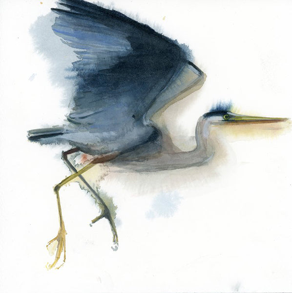 Great Blue Heron #3 #19074