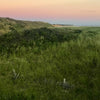 Griffin Island, Twilight