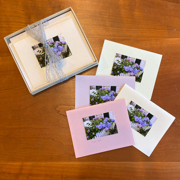 Cape Cod Hydrangeas cards - boxed set of 6