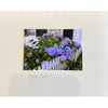 Cape Cod Hydrangeas cards - boxed set of 6