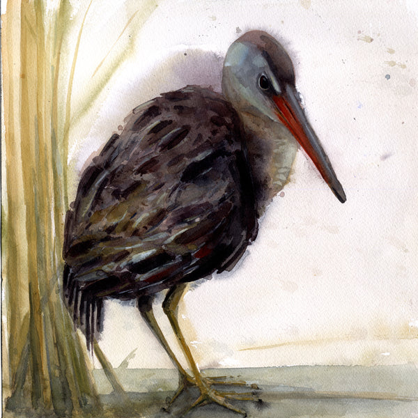 King Rail In the Grasses ~ Original  watercolor