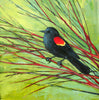 painting of red winged blackbird in branches