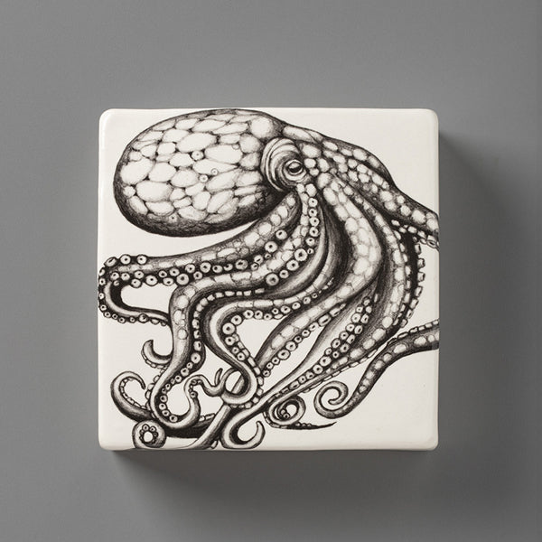 Wall Box: Octopus