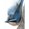 Red Breasted Nuthatch. #19027