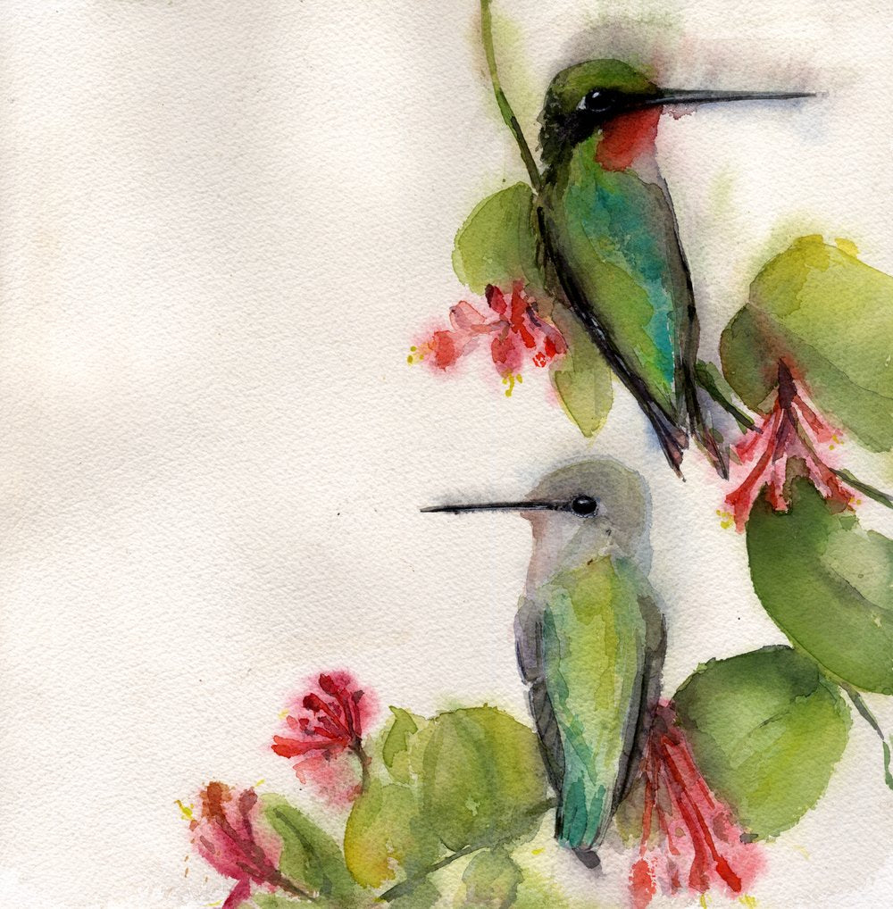 Ruby-Throated Hummingbird Pair #19002