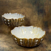 Abalone & Tortoise Medium Sea Urchin Bowl