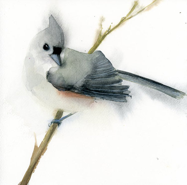 Tufted Titmouse Green Branch  #19035