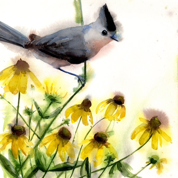 Tufted Titmouse in the Black Eyed Susans ~ Original  watercolor