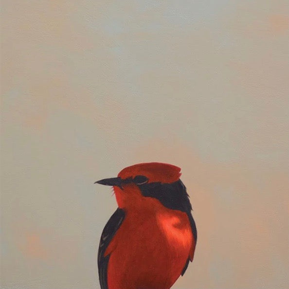 Vermillion Flycatchers 8x8  Panel