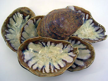 Abalone & Tortoise Oyster Damariscotta Dish