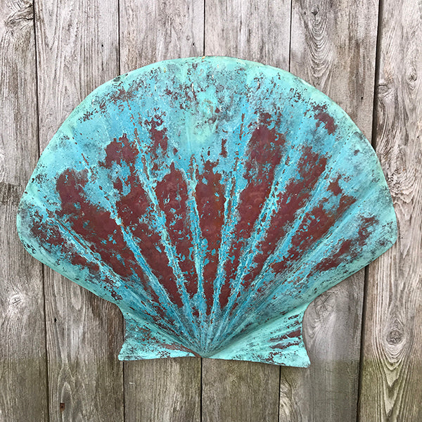 Scallop Shell