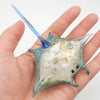 Sting Ray - Blue